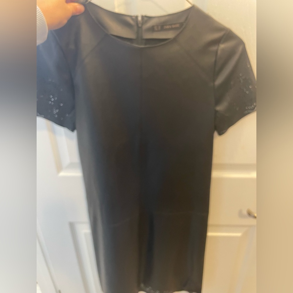 Zara Pleather Dress